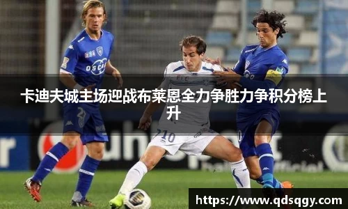 卡迪夫城主场迎战布莱恩全力争胜力争积分榜上升